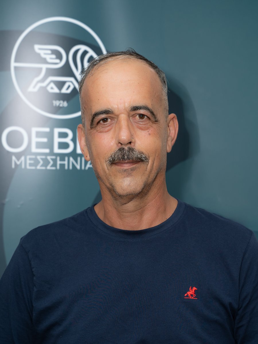 Μιχαήλ Σταυριανέας